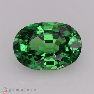 tsavorite garnet  1.10cts - 7x5mm tsavorite garnet  1.10cts - 7x5mm