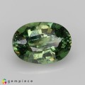 Natural Demantoid garnet 1.19 Carats Green Oval 7x5 mm Loose Gemstone - Image 1