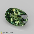 Natural Demantoid garnet 1.19 Carats Green Oval 7x5 mm Loose Gemstone - Image 3