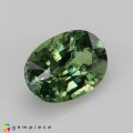 Natural Demantoid garnet 1.19 Carats Green Oval 7x5 mm Loose Gemstone - Image 6