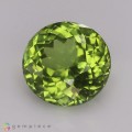 Natural Peridot 6.28 Carats Meadow Green Round 11x8 mm Loose Gemstone - Image 2