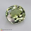 Natural Tourmaline 3.40 Carats Yellowish Green Oval Cushion 10x9 mm Loose Gemstone - Image 6