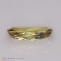 Natural Grossular garnet 6.69 Carats Yellow Cushion 17x8 mm Loose Gemstone - Image 4