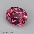 Natural Spinel 1.78 Carats Hot Pink Oval Cushion 8x6 mm Loose Gemstone - Image 2