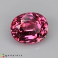 Natural Spinel 1.78 Carats Hot Pink Oval Cushion 8x6 mm Loose Gemstone - Image 7