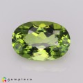 Natural Peridot 4.77 Carats Green Oval 13x9 mm Loose Gemstone - Image 2
