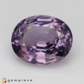 Natural Spinel 2.61 Carats Purple Oval 10x8 mm Loose Gemstone - Image 2