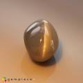 Natural Chrysoberyl cats eye 3.50 Carats Moss Green Oval Cabochon 9x7 mm Loose Gemstone - Image 5
