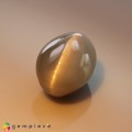 Natural Chrysoberyl cats eye 3.50 Carats Moss Green Oval Cabochon 9x7 mm Loose Gemstone - Image 1