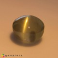 Natural Chrysoberyl cats eye 2.08 Carats Honey Yellow Round Cabochon 7x7 mm Loose Gemstone - Image 2