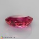 Showing image for rubellite rubellite Rubellite image