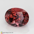 Natural Tourmaline 8.77 Carats Vivid Pink Oval 14x11 mm Loose Gemstone - Image 2