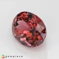 Natural Tourmaline 8.77 Carats Vivid Pink Oval 14x11 mm Loose Gemstone - Image 3