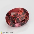 Natural Tourmaline 8.77 Carats Vivid Pink Oval 14x11 mm Loose Gemstone - Image 5