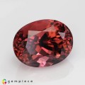 Natural Tourmaline 8.77 Carats Vivid Pink Oval 14x11 mm Loose Gemstone - Image 7