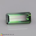 Natural Tourmaline 4.30 Carats Vivid Green Emerald 13x6 mm Loose Gemstone - Image 6