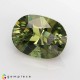 Showing image for demantoid garnet demantoid garnet Demantoid Garnet image