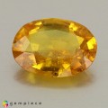 Natural Sapphire 2.34 Carats Vivid Yellow Oval 10x8 mm Loose Gemstone - Image 2