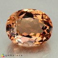 Natural Beryl 14.49 Carats Champagne Orange Octagon 17x14 mm Loose Gemstone - Image 1