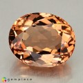 Natural Beryl 14.49 Carats Champagne Orange Octagon 17x14 mm Loose Gemstone - Image 2