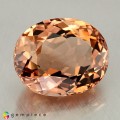 Natural Beryl 14.49 Carats Champagne Orange Octagon 17x14 mm Loose Gemstone - Image 7