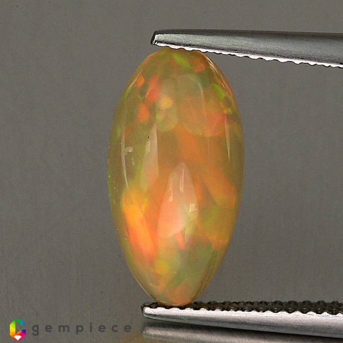 opal image