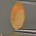 Natural Opal 3.11 Carats Rainbow Oval Cabochon 16x8 mm Loose Gemstone - Image 2