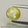 Natural Chrysoberyl cats eye 1.40 Carats Yellow Round Cabochon 6x4 mm Loose Gemstone - Image 1