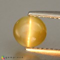 Natural Chrysoberyl cats eye 1.40 Carats Yellow Round Cabochon 6x4 mm Loose Gemstone - Image 2