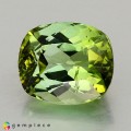Natural Tourmaline 1.96 Carats Green Cushion 8x7 mm Loose Gemstone - Image 2