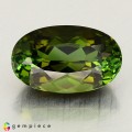 Natural Tourmaline 3.81 Carats Honey Green Oval 12x7 mm Loose Gemstone - Image 1