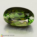 Natural Tourmaline 3.81 Carats Honey Green Oval 12x7 mm Loose Gemstone - Image 2