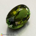 Natural Tourmaline 3.81 Carats Honey Green Oval 12x7 mm Loose Gemstone - Image 4