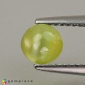 Natural Chrysoberyl cats eye 1.08 Carats Yellow Green Round Cabochon 6x3 mm Loose Gemstone - Image 1