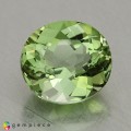 Natural Tourmaline 1.57 Carats Pastel Green Oval 7x7 mm Loose Gemstone - Image 1