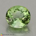 Natural Tourmaline 1.57 Carats Pastel Green Oval 7x7 mm Loose Gemstone - Image 3