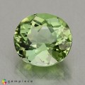 Natural Tourmaline 1.57 Carats Pastel Green Oval 7x7 mm Loose Gemstone - Image 4