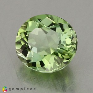 tourmaline  1.57cts - 7x7mm tourmaline  1.57cts - 7x7mm