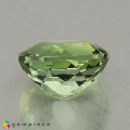 Natural Tourmaline 1.57 Carats Pastel Green Oval 7x7 mm Loose Gemstone - Image 5