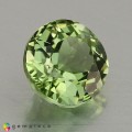 Natural Tourmaline 1.57 Carats Pastel Green Oval 7x7 mm Loose Gemstone - Image 6