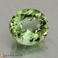 Natural Tourmaline 1.57 Carats Pastel Green Oval 7x7 mm Loose Gemstone - Image 7