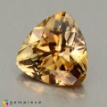 Natural Zircon 3.61 Carats Imperial Brown Trilliant  9x9 mm Loose Gemstone - Image 2