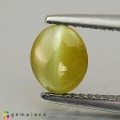 Natural Chrysoberyl cats eye 1.15 Carats Yellow Oval Cabochon 7x6 mm Loose Gemstone - Image 1