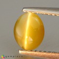 Natural Chrysoberyl cats eye 1.15 Carats Yellow Oval Cabochon 7x6 mm Loose Gemstone - Image 2