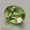 Natural Demantoid garnet 0.98 Carats Green Oval 6x5 mm Loose Gemstone - Image 2