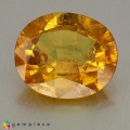Natural Sapphire 3.36 Carats Yellow Oval 10x9 mm Loose Gemstone - Image 2