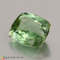 Natural Green tourmaline 2.50 Carats Green Cushion 9x8 mm Loose Gemstone - Image 3