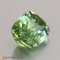 Natural Green tourmaline 2.50 Carats Green Cushion 9x8 mm Loose Gemstone - Image 5