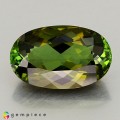 Natural Tourmaline 3.47 Carats Honey Green Oval 12x8 mm Loose Gemstone - Image 1