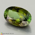 Natural Tourmaline 3.47 Carats Honey Green Oval 12x8 mm Loose Gemstone - Image 3
